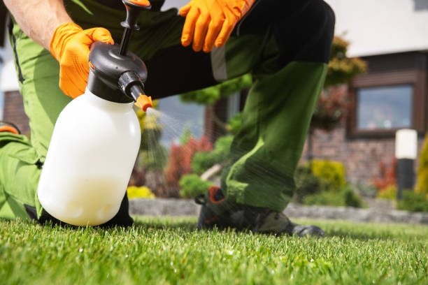 Best Wasp Removal Services  in , OH