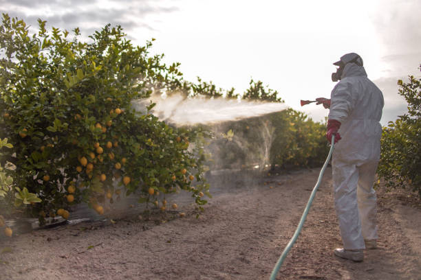 Best Affordable Pest Control Services  in , OH