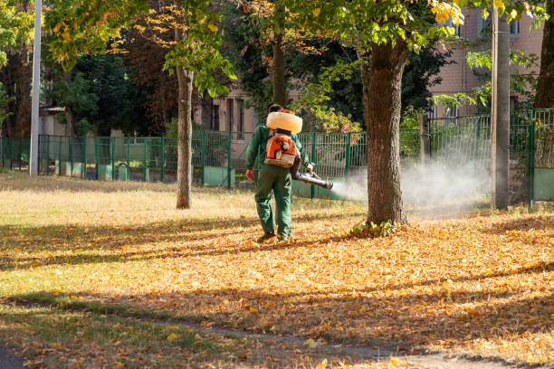 Best Affordable Pest Control Services  in , OH