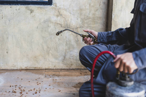 Best Local Pest Control Services  in , OH